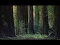 Download Lagu Vàli - Nordavindens Klagesang