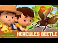 Download Lagu HERCULES BEETLE Rescue JUNIOR RANGERS 🪲🦸‍♂️🌿| Leo the Wildlife Ranger Spinoff S6E15 | @mediacorpokto