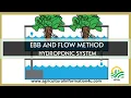 Hydroponics Ebb and Flow Method Hydroponic System