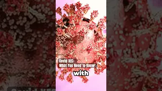 Covid XEC What You Need To Know 