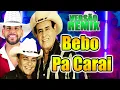 BEBO PRA CARAI - GINO E GENO VERSÃO REMIX  GUILHERME SILVA /SOM REMIX