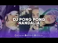 Lagu DJ PONG PONG NANDALIA VIRAL TIK TOK TERBARU 2024