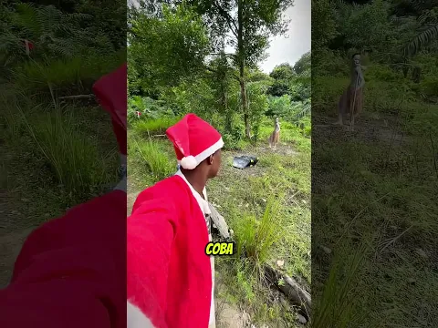 Lagi asik ngevlog malah ketemu sama suku teng teng 😱 #shortviral