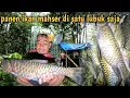 Lagu Camping pishing adventure: menuju lubuk sarang ikan mahser 3 hari 2 malam