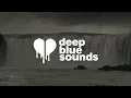 arctic monkeys - 505 (lyrics)