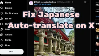 Auto-translate Japanese Twitter X in 2 Minutes Brave Chrome
