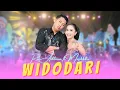 Download Lagu Rina Aditama ft Masdddho - WIDODARI  ((Official Music Video ANEKA MUSIC)