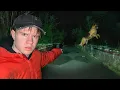 Dogs Keep Jumping Off This Bridge to Their Death