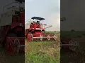 Download Lagu Pura din 🧑‍🌾 soyabean😫 #ytshorts #farming #desiviilagelifetstyle #nimad
