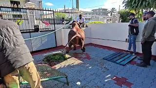 Bakrid 2025 Memories