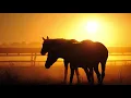 [NO ADS] Warm Embrace: 8 Hours of Relaxing Sleep Music with Dreamy Photos