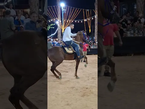 خيل من خيالها حفلة مدرسه