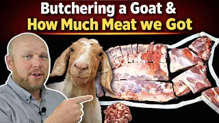 Butchering a Goat the Meat We Got with weights of each different type of Cut