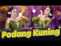 Download Lagu Lintang Kairo - Podang Kuning (Official Music Video)