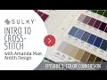 Intro to Cross-Stitch Episode 5 Color Conversion
