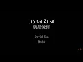 David Tao 陶喆 - Jiu Shi Ai Ni 就是爱你 (Pinyin+English Lyrics)