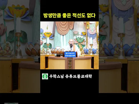 보름에는 달빛 방생을~