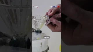 عالم غريب صيد الثعابين الجرسية السامة تقليد دموي مخيف في مدينة سويت ووتر الأميركية أميركا 