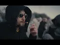 Zamdane - Printemps