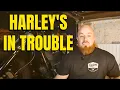 I ve Ridden Harleys for Years Here s the Real Story