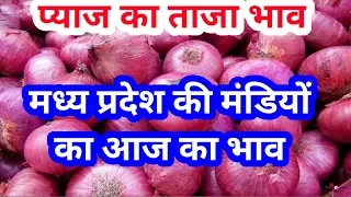 प्याज का ताजा भाव मध्य प्रदेश की सभी मंडियों में | कांदा मंडी भाव|pyaj mandi rate march 2019