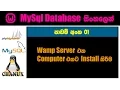 Sinhala mysql tutorial 01 - How to install mysql wamp phpmyadmin and fix issues by Chanux