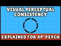Visual Perceptual Consistency and Apparent Movement AP Psychology
