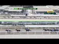 RACE 3 Road to Triple Crown Stakes 1650m 3YO only 1650m APR 26 2026