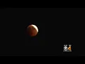 Watch Parties For Super Wolf Blood Moon Planned In Colorado