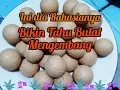 Download Lagu CARA MEMBUAT TAHU BULAT