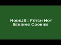 NodeJS Fetch Not Sending Cookies