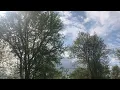 Can t stop sneezing Tree pollen count very high in western Massachusetts