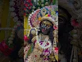 Download Lagu Teri deewani✨❤️| Krishna Status| Radha Krishna Status| Krishna Songs| #ytshorts #shorts #trending