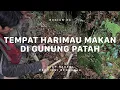 Download Lagu GUNUNG PATAH - Atap Negeri Bengkulu #4