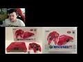 Nintendo 64 Rarity and Pricing Guide 2018