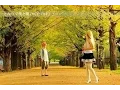Download Lagu Kimi no Koe Ni - Tetsuya Kakihara