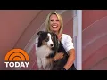 Meet the dog stars from the new Strays movie