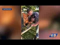 I will never forget what you did Alamance County family devesated by deadly head-on crash