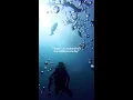 Download Lagu Start Your Dive Journey