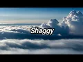 Strength of A Woman ~ Shaggy (Lyrics)