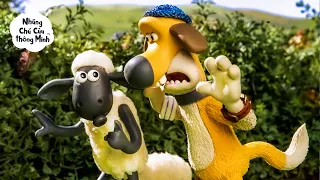 NHỮNG CUỘC PHIÊU LƯU HÀI HƯỚC NHẤT CỦA CẶP ĐÔI SIÊU QUẬY 🐑😎💥😂 | Shaun the Sheep [ViệtNam]
