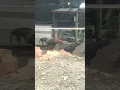 Download Lagu Two roosters fighting over one female #shorts #rooster