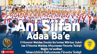 Ani Siifan Adda Ba E F Ttoonni WDB Wiirtuu Giddu Galeessaa F Ttoota Finoota Tsidqii Waliin Ta Uudhan 