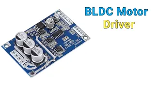 DC 12V-36V 15A 500W Brushless Motor
