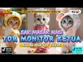 Lagu TOR MONITOR KETUA SAK MASAK NASI ORANG BARU LEBE GACOR KETUA VERSI KUCING LUCU LUCU BANGET
