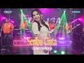 Download Lagu SERIBU CINTA - Listen Safana - OM ERAISA ( Live Record Studio )