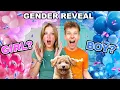 Puppy Gender Reveal So CUTE
