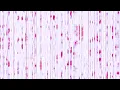 Animated Pattern Overlay Background