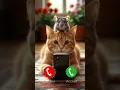 Cute Cat And Mouse combo Ringtone #iphone #smartphone #cat #ringtone #calling #call
