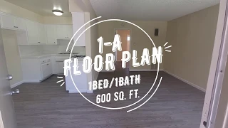 Downey Court Apartments - 1A